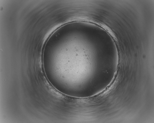 X0000068850904200605081212