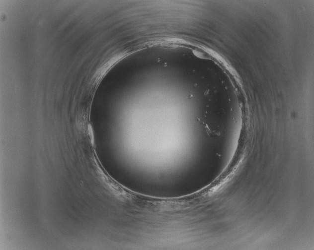 X0000068850905200605081211