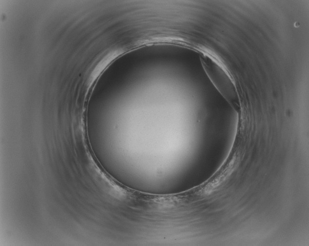 X0000068850906200605081211