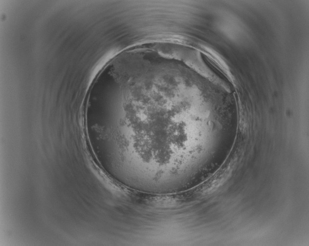 X0000068850907200605081211