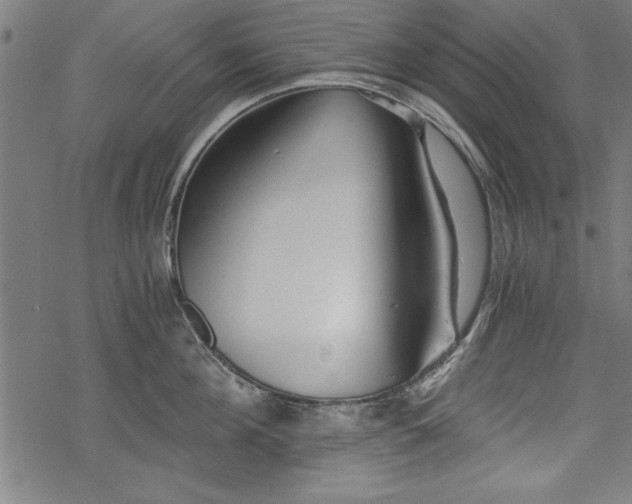 X0000068850908200605081211