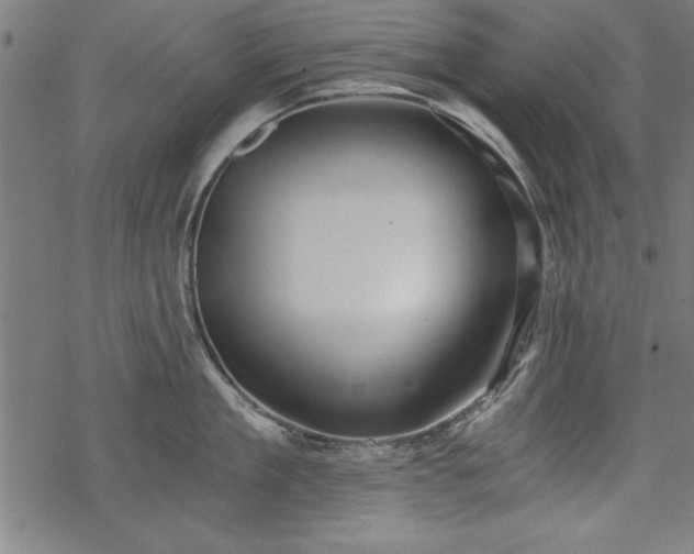 X0000068850909200605081211