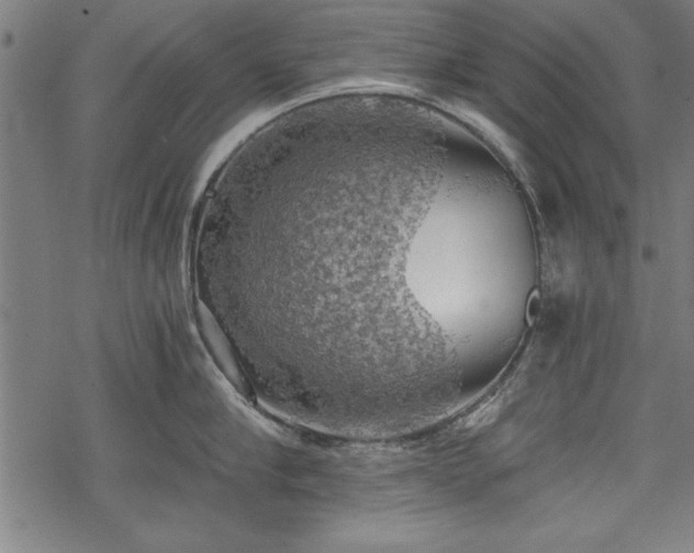 X0000068850910200605081211