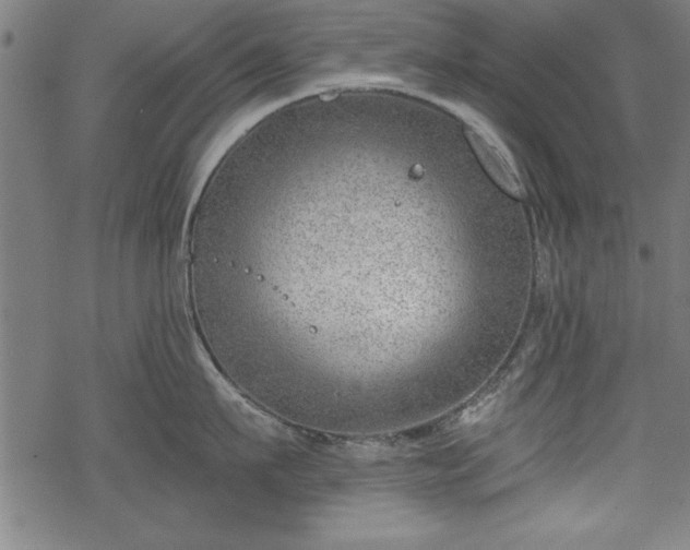 X0000068850911200605081211