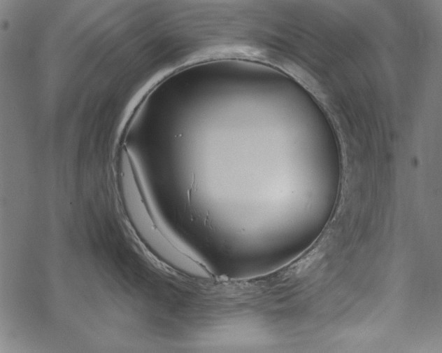 X0000068850912200605081211