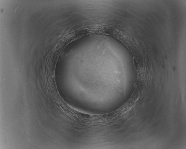 X0000068850913200605081211