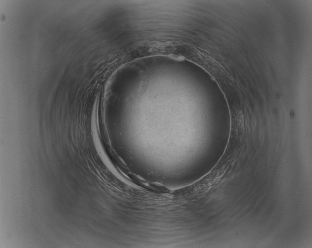 X0000068850914200605081211