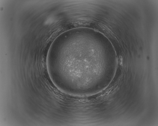 X0000068850915200605081211