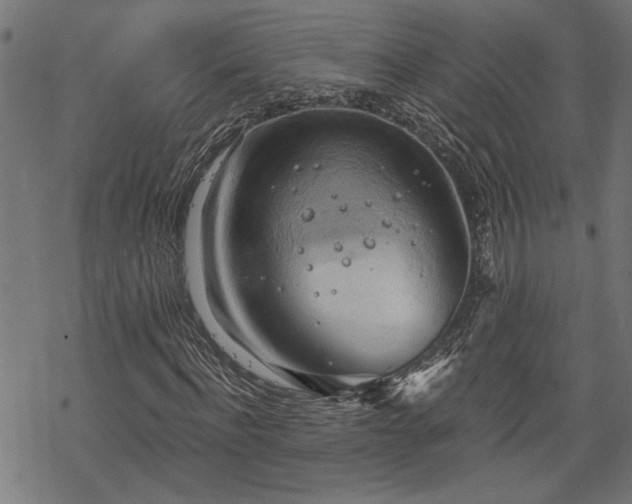 X0000068850916200605081211