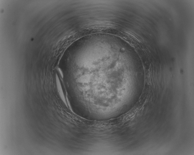 X0000068850917200605081211