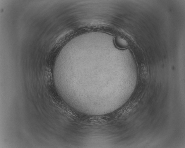 X0000068850918200605081211