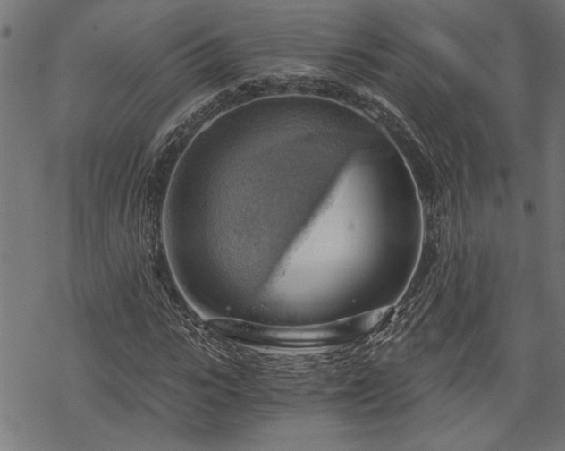 X0000068850919200605081211