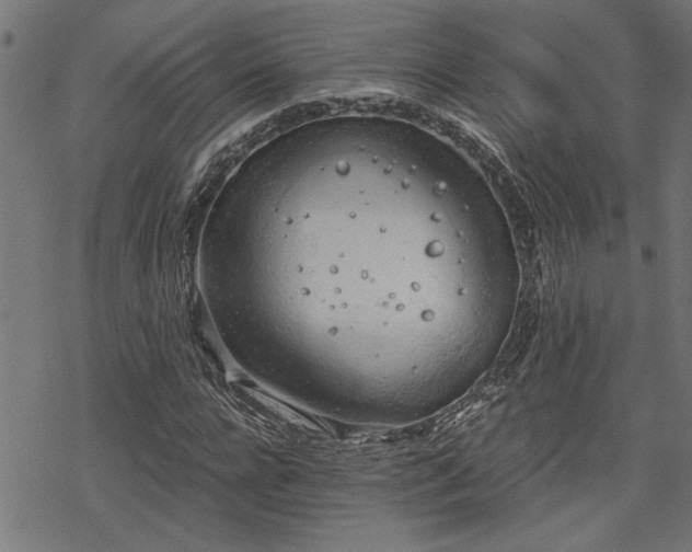 X0000068850920200605081211