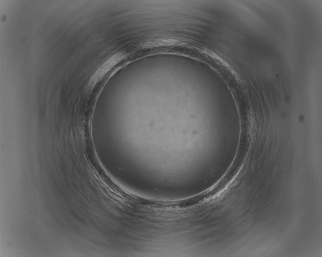 X0000068850921200605081211