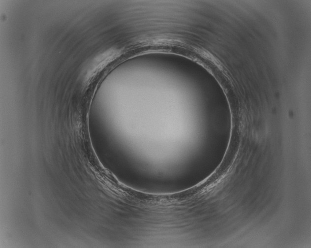 X0000068850922200605081211