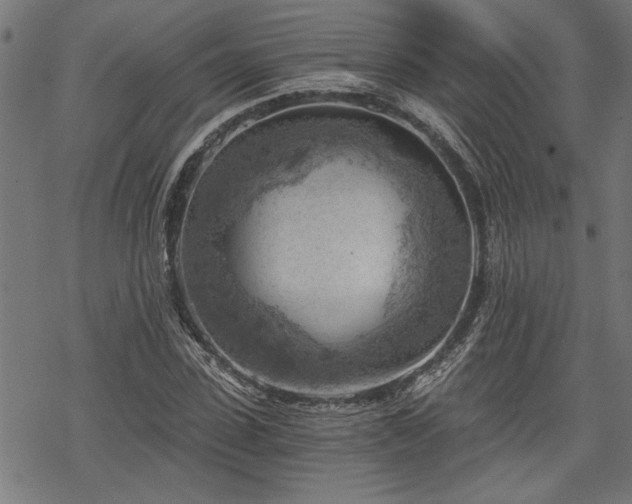 X0000068850923200605081211