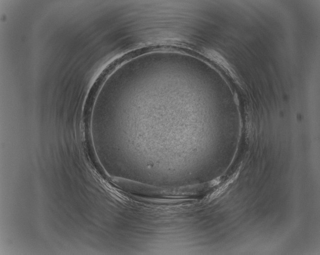 X0000068850924200605081211