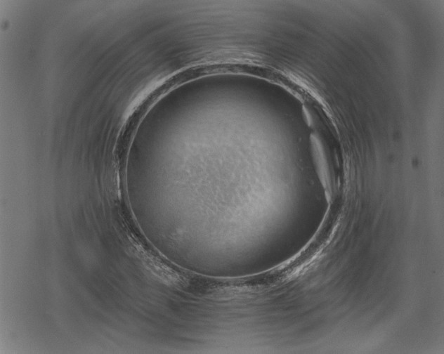 X0000068850925200605081211