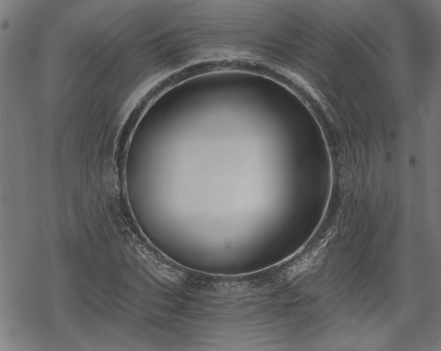 X0000068850927200605081211