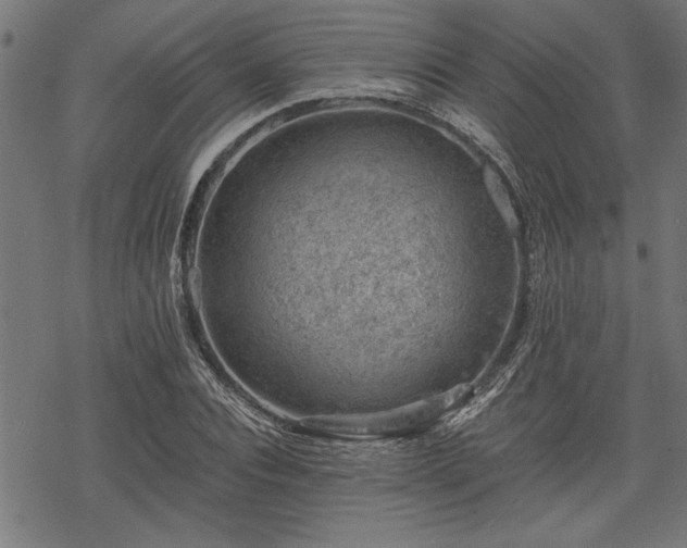 X0000068850928200605081211