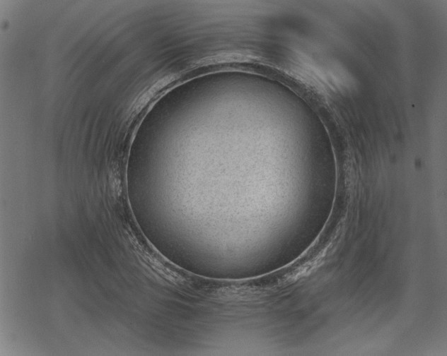 X0000068850929200605081211