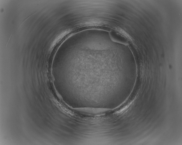 X0000068850930200605081211