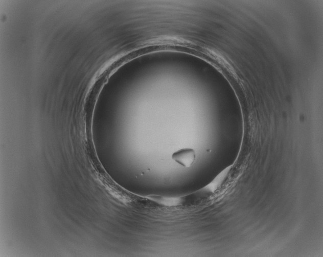 X0000068850931200605081211