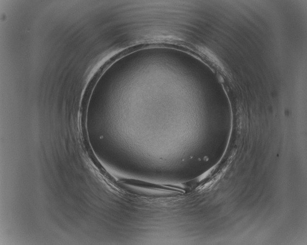 X0000068850932200605081211