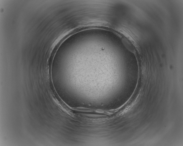 X0000068850933200605081211