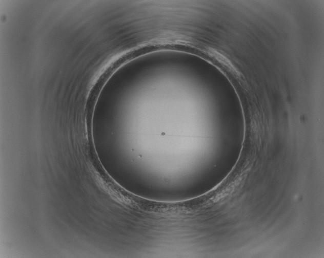 X0000068850934200605081211