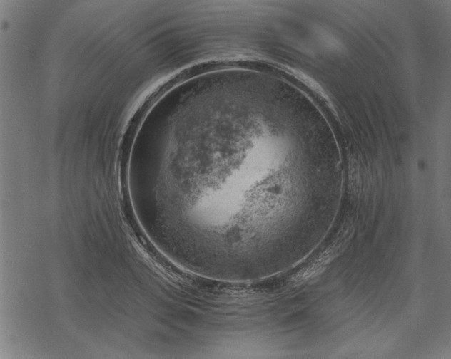 X0000068850935200605081211