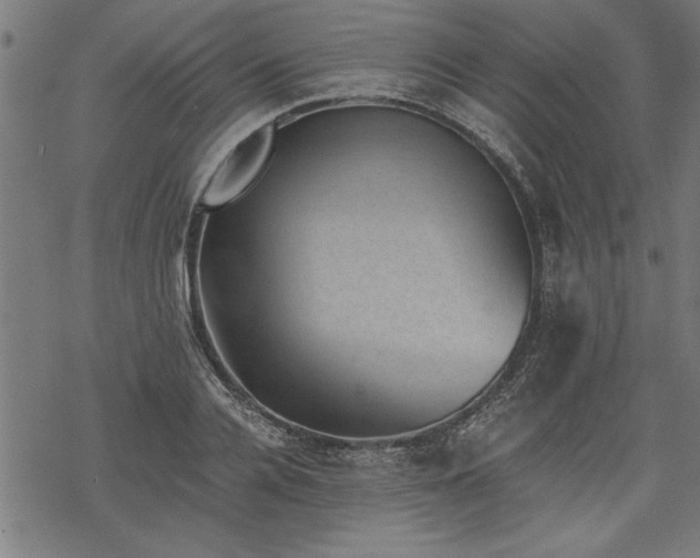 X0000068850936200605081211