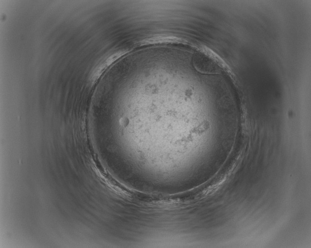 X0000068850937200605081211