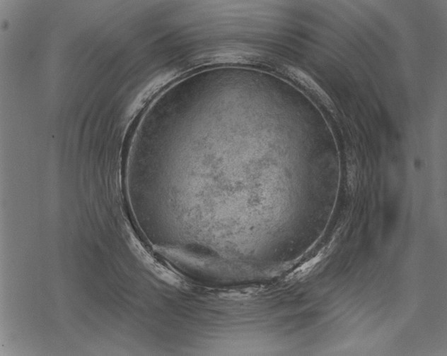 X0000068850938200605081211