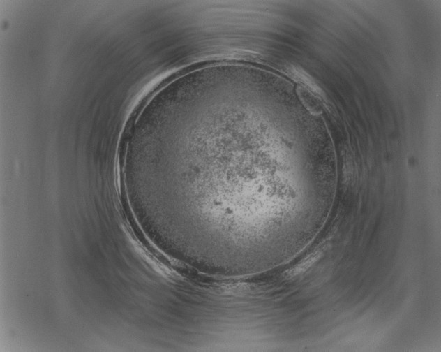 X0000068850940200605081211