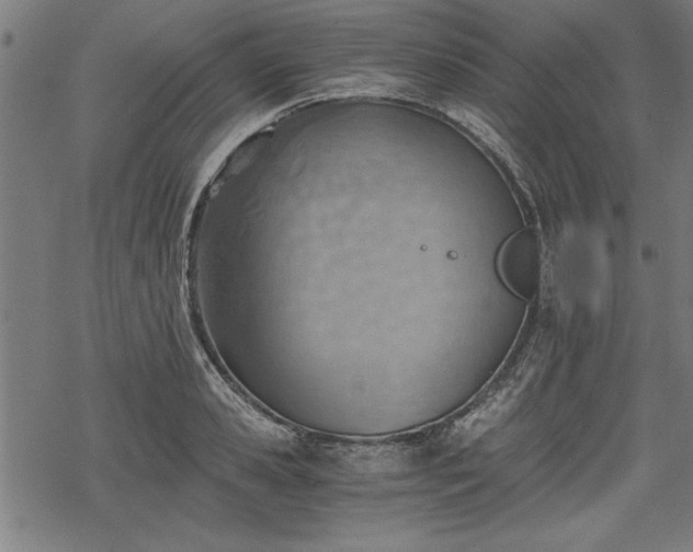 X0000068850941200605081211