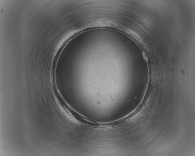 X0000068850942200605081211