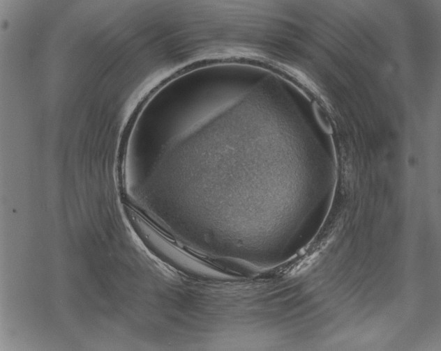 X0000068850943200605081211