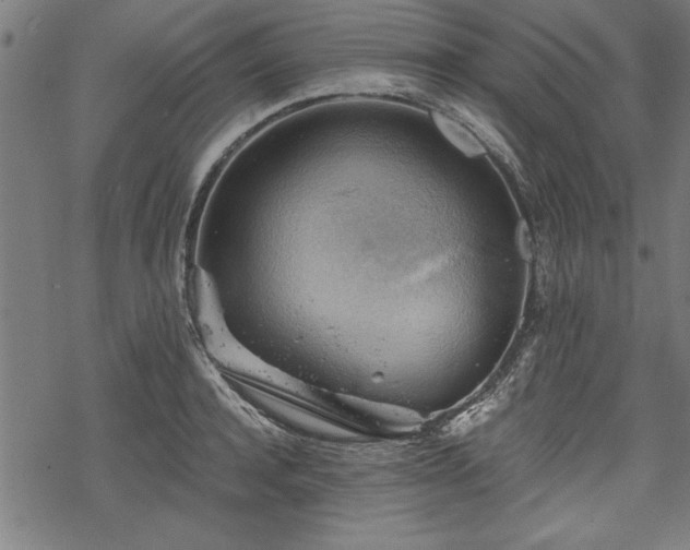 X0000068850944200605081211