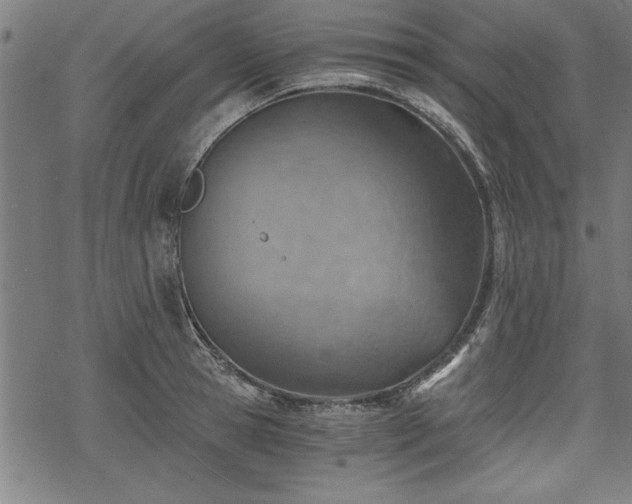 X0000068850945200605081211