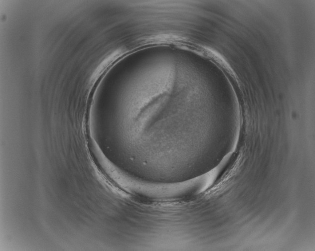 X0000068850946200605081211