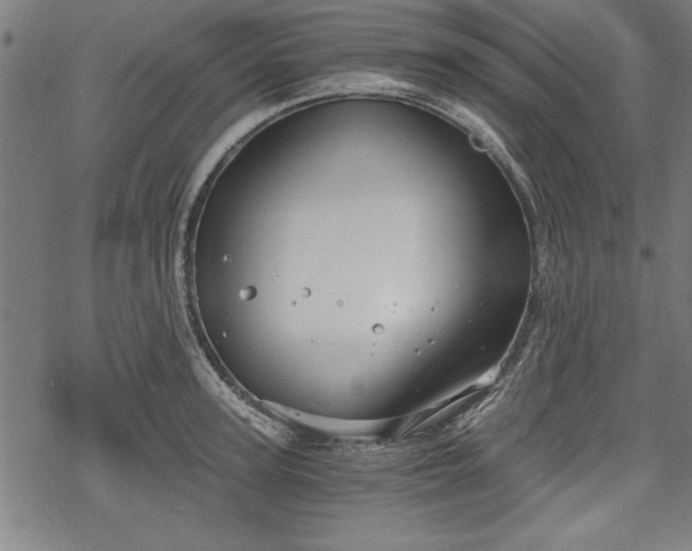 X0000068850947200605081211