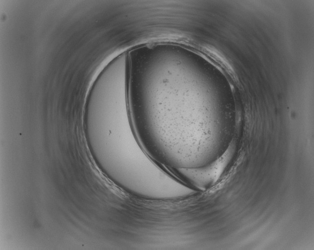 X0000068850948200605081211