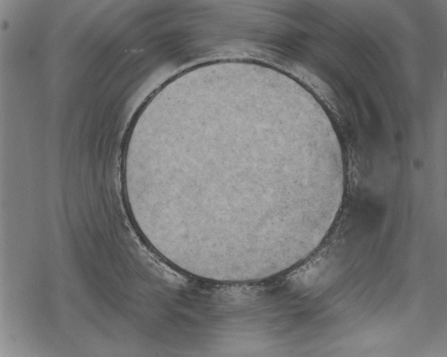 X0000068850950200605081211