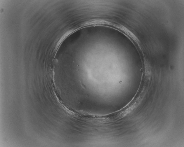 X0000068850953200605081211