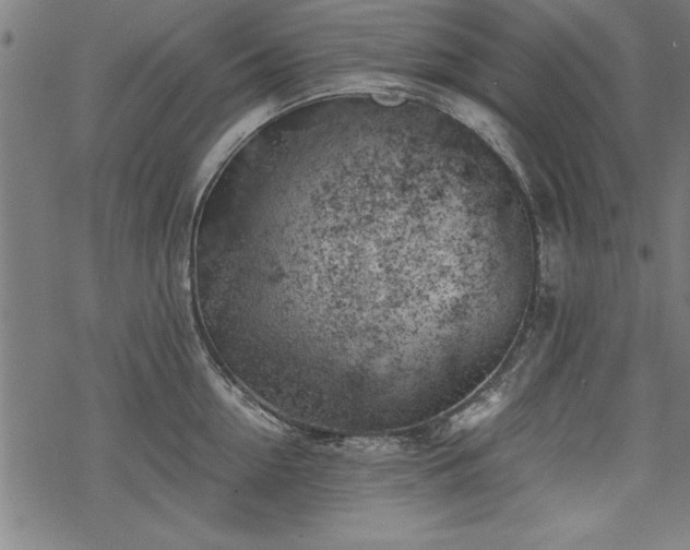 X0000068850954200605081211