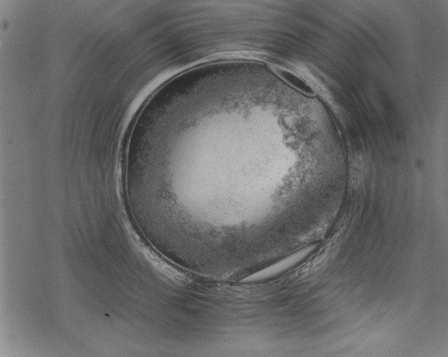 X0000068850955200605081211