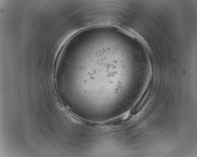 X0000068850956200605081211