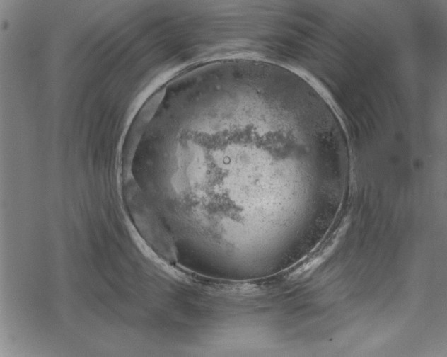 X0000068850957200605081211