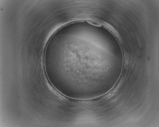 X0000068850958200605081211